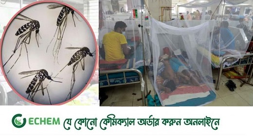 লাফিয়ে বাড়ছে ডেঙ্গুরোগী, মশা নিধনে কাজে আসছে না কোনো পদ্ধতিই