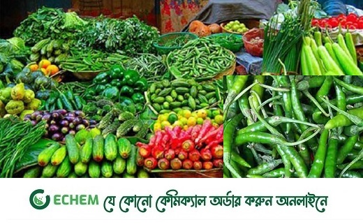 কাঁচা মরিচের দাম প্রায় দ্বিগুণ, স্বস্তি নেই সবজিতে