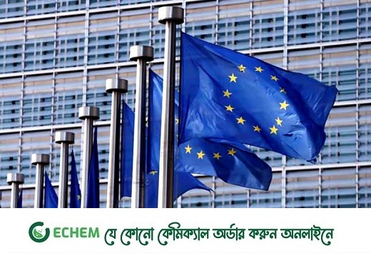 নির্বাচনের পরিবেশ পর্যবেক্ষণে ইইউ প্রাক পর্যবেক্ষকদল ঢাকায়