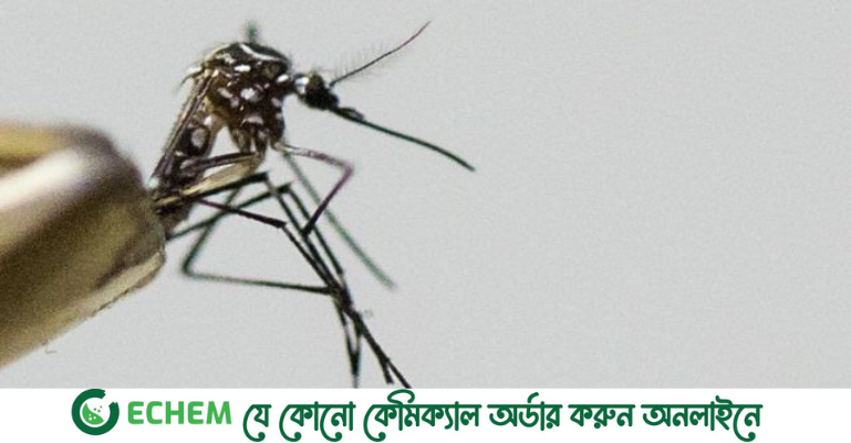 ডেঙ্গুতে এবছর ভর্তি ১৭ হাজার ছাড়িয়েছে