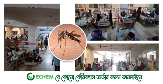 ডেঙ্গুতে একদিনে রেকর্ড: মৃত্যু ৮