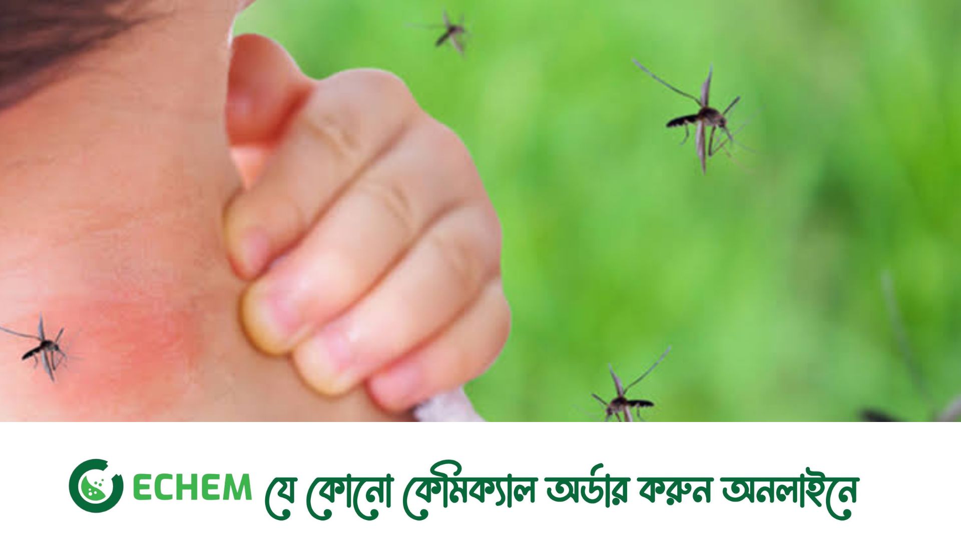 প্রথাগত ডেঙ্গু উপসর্গ না থাকায় এবার রোগী বেশি মারা যাচ্ছে
