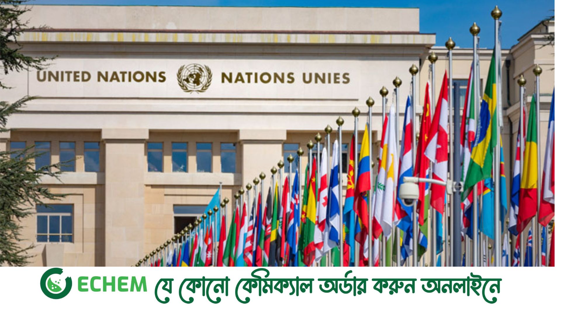 আবাসিক সমন্বয়কারীকে তলব করে ‘অসন্তোষ’, যা জানাল জাতিসংঘ