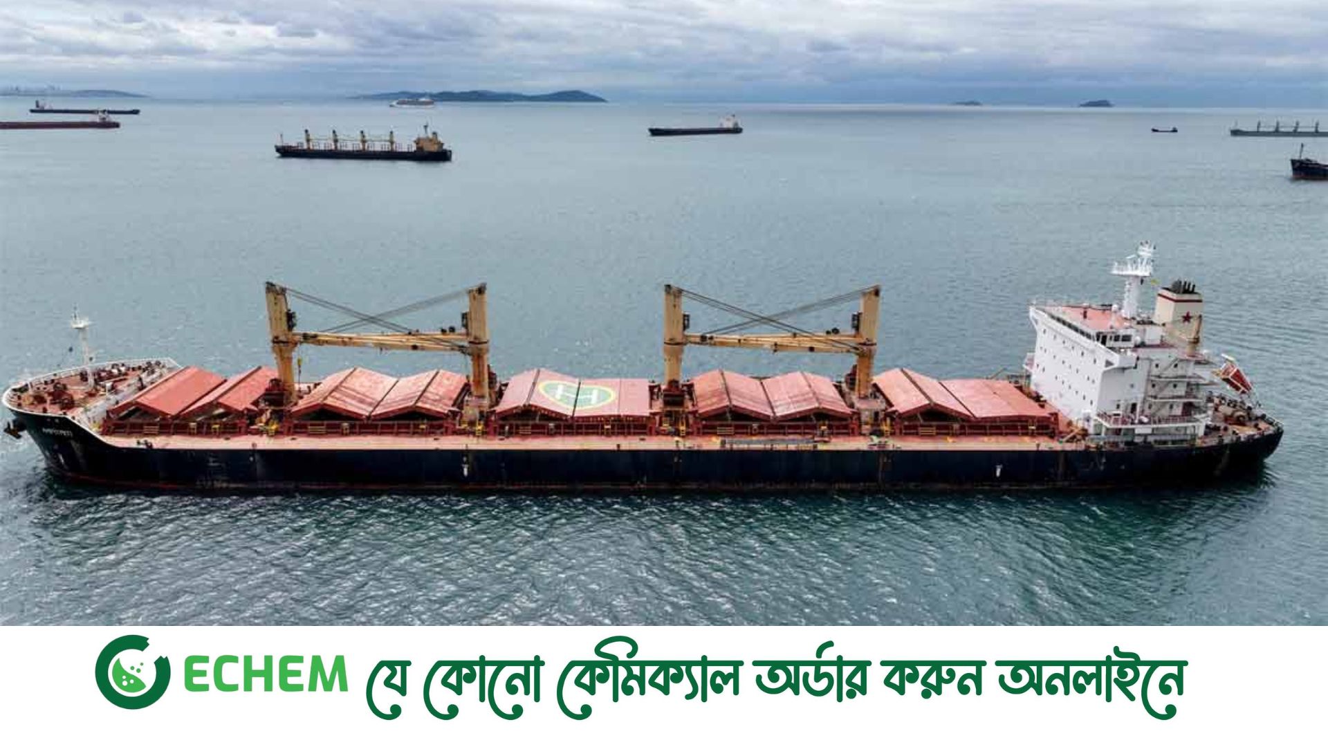 শস্য চুক্তি আবার চালু করতে যেসব শর্ত দিল রাশিয়া