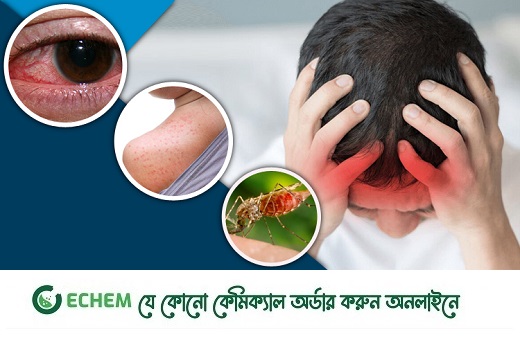 শুধু ডেঙ্গু নয়, মশাবাহিত আরো ৭ রোগ থেকে সাবধান