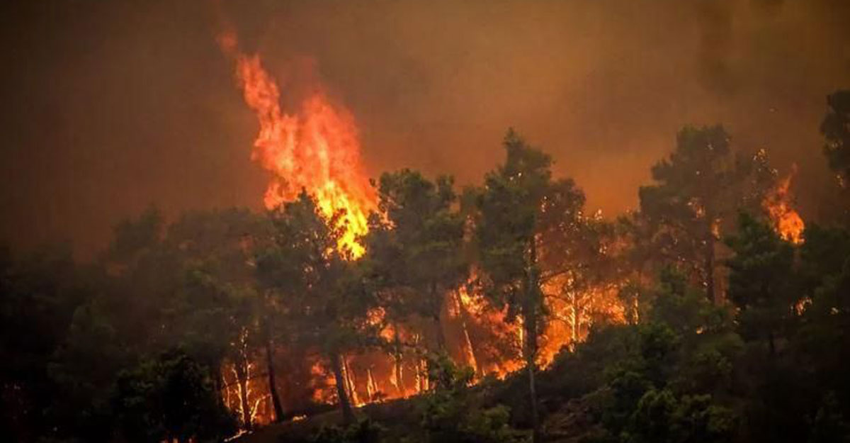 ভয়াবহ দাবানলে পুড়ছে গ্রিসের রোডস দ্বীপ