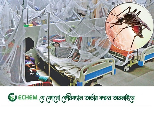 ডেঙ্গুতে মৃত্যু ৪, আক্রান্ত ১৫০৩