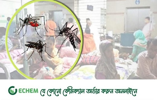 ডেঙ্গুতে ২৪ ঘণ্টায় মৃত্যু ১০, ঢাকায় শিশু আক্রান্তের হার বেশি