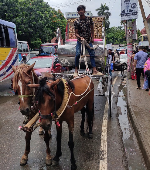 কেমন সময় যাচ্ছে পুরান ঢাকার ঐতিহ্যবাহী ঘোড়ার গাড়ি