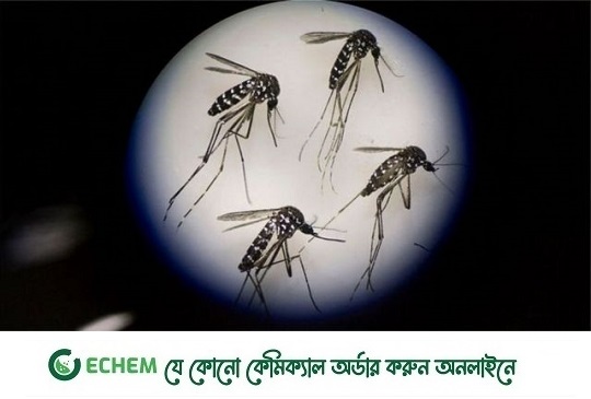 এডিস মশা ঠেকাতে এবার ‘বিটিআই’ প্রয়োগ শুরু