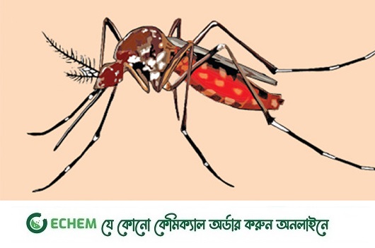 ডেঙ্গুর সেকেন্ডারি ফর্ম: এতে বাড়ছে মৃত্যুঝুঁকি