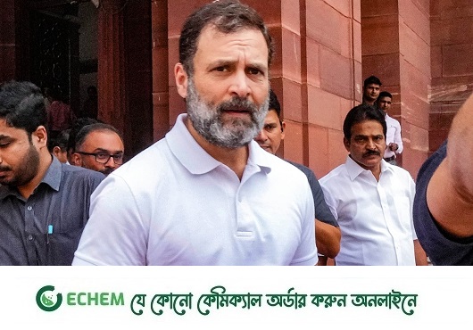 লোকসভায় প্রবেশের অধিকার ফেরত পেলেন রাহুল গান্ধী