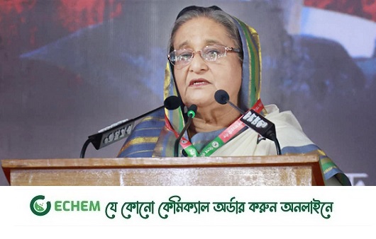 মাকে কখনো ভেঙে পড়তে দেখিনি, মরণেও বাবার সঙ্গী হলেন