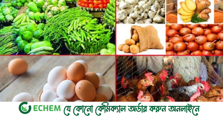 এক পিস ডিম এখন ১৫ টাকা