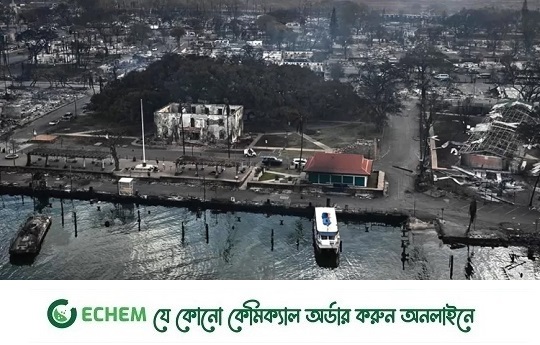 হাওয়াইয়ে দাবানল: মৃত বেড়ে ৮৯, বাড়ছে ক্ষোভ