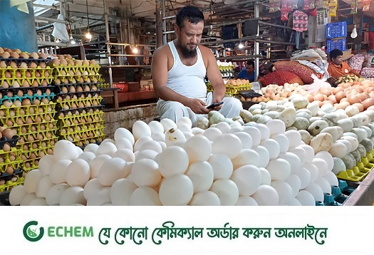 দামে রেকর্ড: ডিম যেন অমূল্য সম্পদ