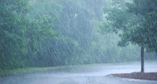 আরও ৪ দিন থাকবে বৃষ্টি, চট্টগ্রামে পাহাড়ধসের শঙ্কা