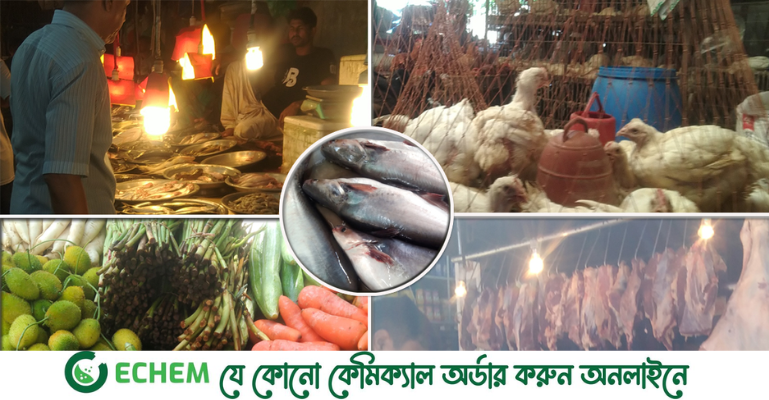 পাঙ্গাশ ছাড়া ৩০০ টাকার নিচে মাছ নেই