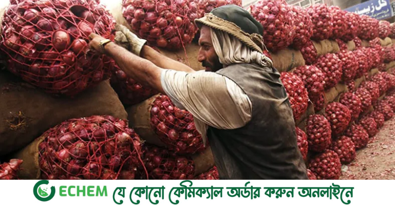 ভারত ছাড়া আরও ৯ দেশ থেকে পেঁয়াজ আমদানির অনুমতি
