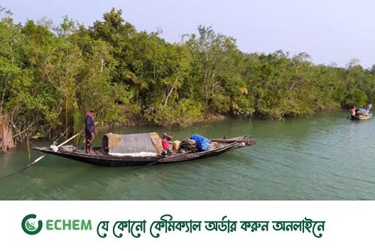 দ্বার খুলছে সুন্দরবনের