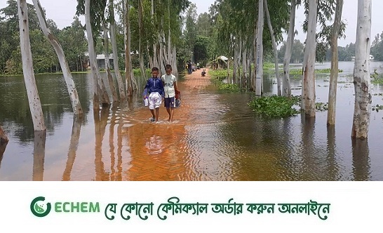 কুড়িগ্রামে ভাঙ্গন আতঙ্ক কাটছে না তিস্তা পাড়ের মানুষের