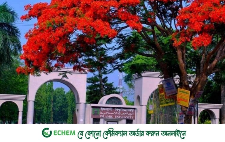 দেশের বিচার ব্যবস্থায় হস্তক্ষেপ বিশ্বনেতাদের: ইবি শিক্ষক সমিতি