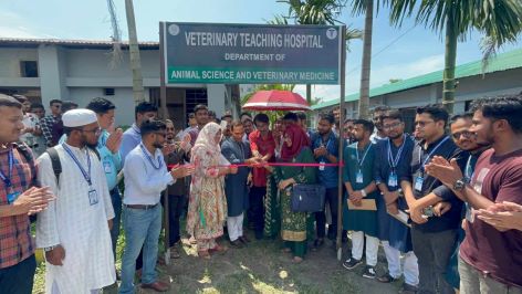বশেমুরবিপ্রবিতে ভেটেরিনারি টিচিং হাসপাতালের উদ্বোধন