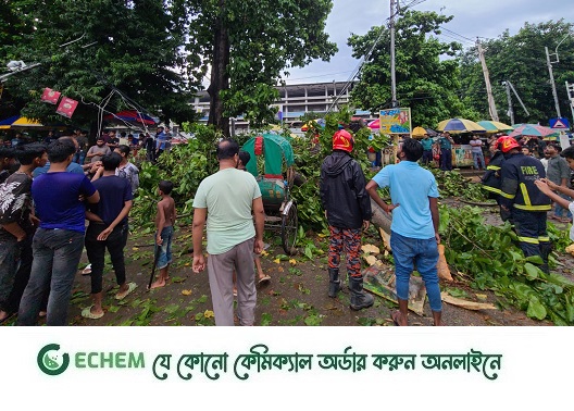 ঢাবিতে গাছ পড়ে রিকশাচালক নিহত, আহত ২