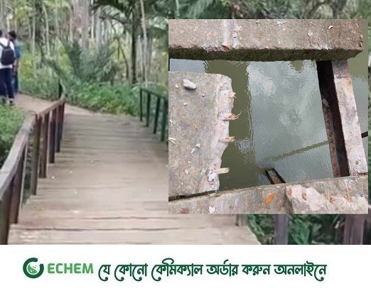 সেতুর স্ল্যাবে রডের পরিবর্তে সুপারি গাছ