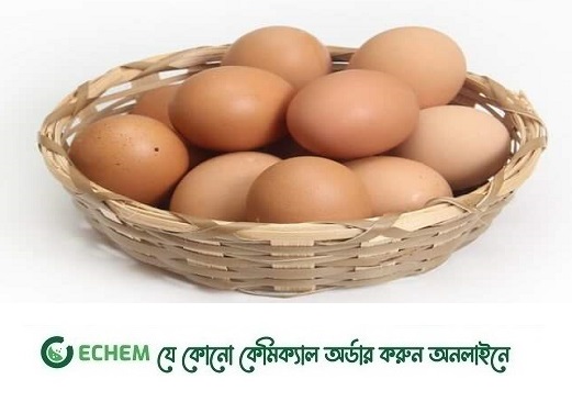 আসছে ভারতের ডিম