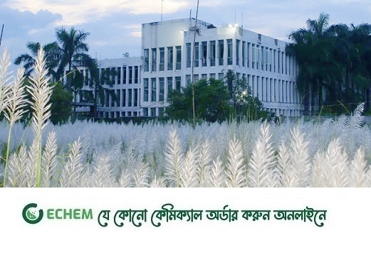 ডিআইইউতে শুভ্রতা ছড়াচ্ছে কাশফুল