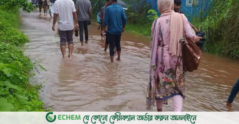 অল্প বৃষ্টিতে নোবিপ্রবি ক্যাম্পাসে জলাবদ্ধতা!
