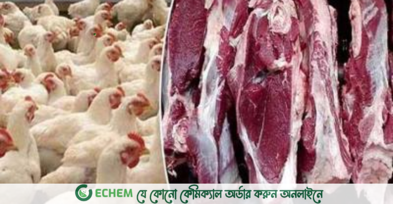 ফের ২০০ টাকা ছাড়াল ব্রয়লার