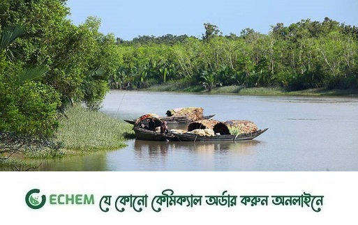 সুন্দরবনের অভয়ারণ্যে মাছ শিকারের অভিযোগে ৭ জেলে আটক