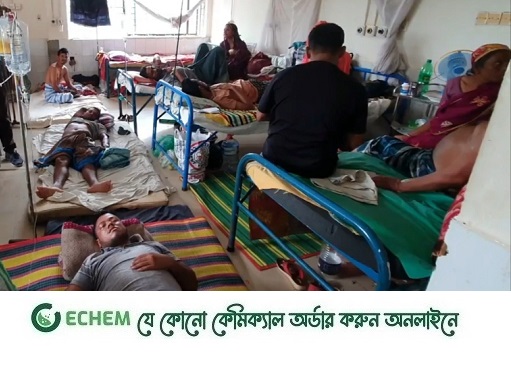 ফরিদপুরে ডেঙ্গুতে ৪ জনের মৃত্যু, ২৪ ঘন্টায় ভর্তি ৩০৯