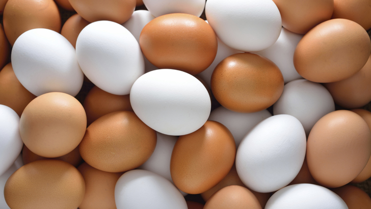 আরও ৫ কোটি ডিম আমদানির অনুমোদন