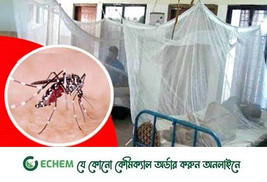ডেঙ্গুতে আরও ১০ মৃত্যু, হাসপাতালে ২৬৬০ ডেঙ্গু রোগী