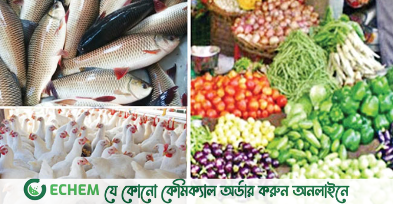 বাজারে সবজির দাম আকাশছোঁয়া, স্বস্তি নেই মাছ-মুরগিতেও
