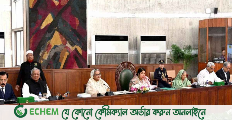 বাংলাদেশে পুতুল সরকার বসাতে চায় কিছু পশ্চিমা শক্তি: প্রধানমন্ত্রী