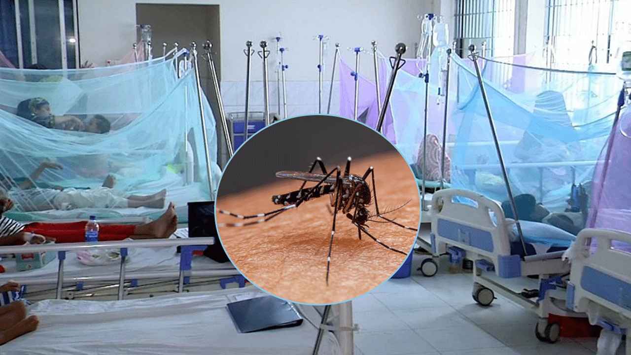 ডেঙ্গুতে হাসপাতালে আরও ১৬৩৮ জন