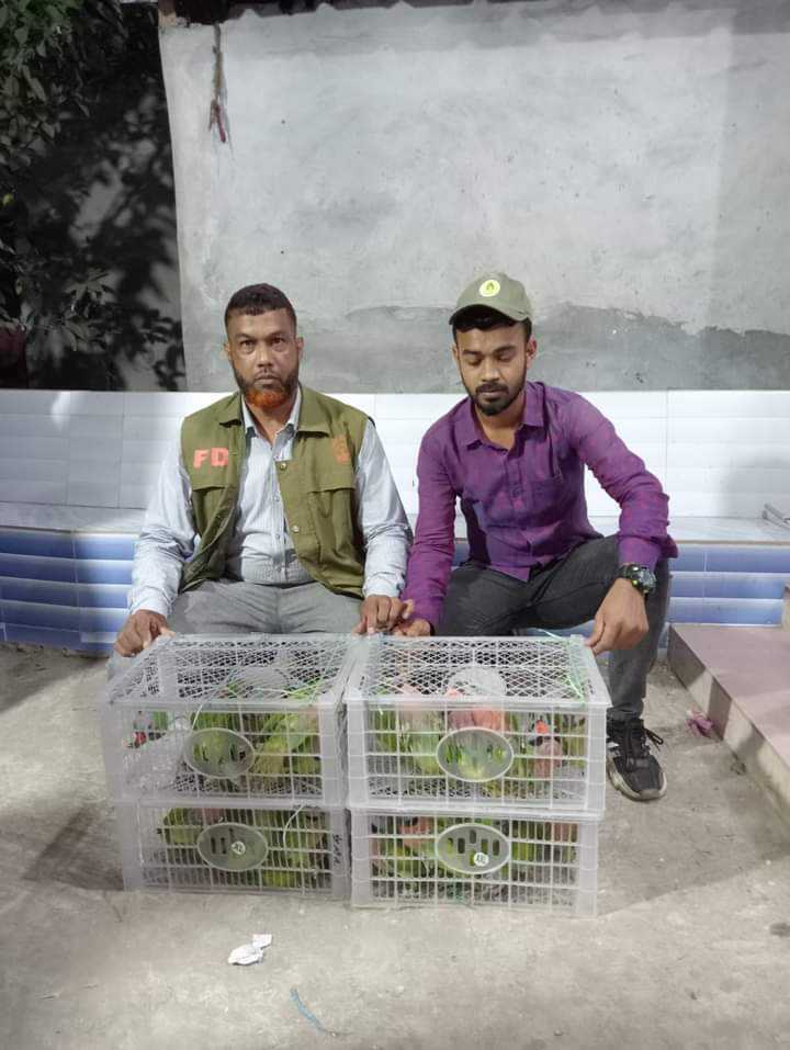 মিরসরাইয়ে ৪২টি টিয়া উদ্ধার করলো বিট কর্মকর্তা