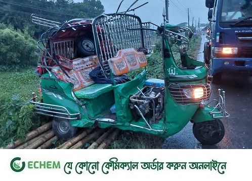 ফরিদপুরে সিএনজি উল্টে দুই পুলিশ সদস্য নিহত, আহত ৪