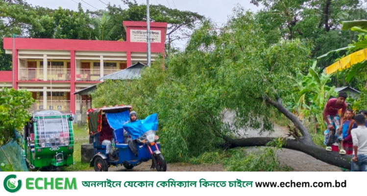 নোয়াখালীতে ২ শতাধিক ঘরবাড়ি বিধস্ত