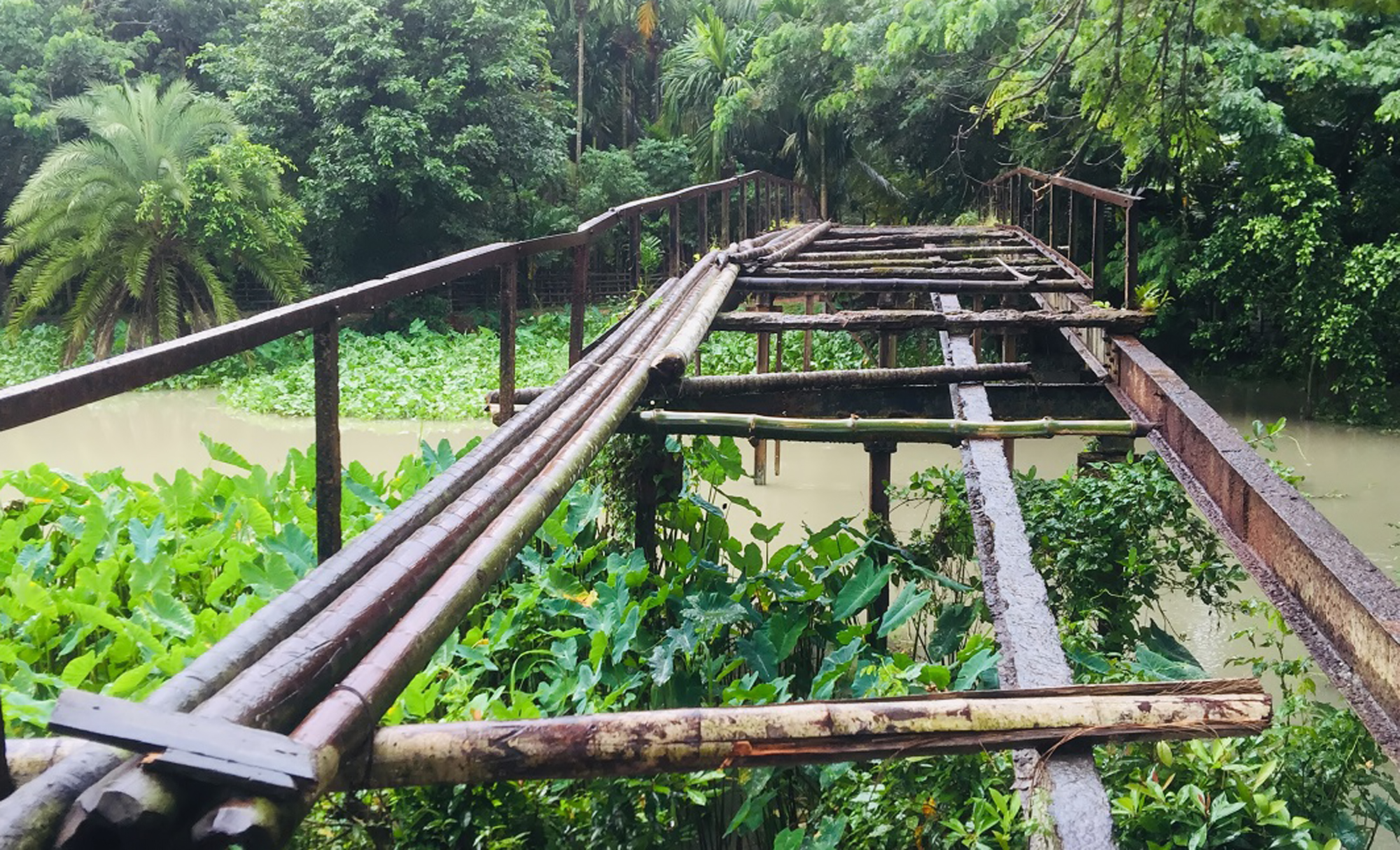 সাংরাইল খালের সংযোগ সেতুর বেহাল অবস্থা!
