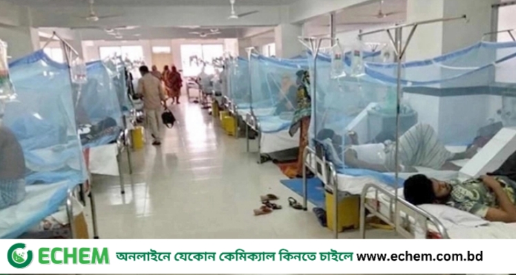 ডেঙ্গুতে আরও ৬ জনের মৃত্যু, হাসপাতালে ৬৪৫
