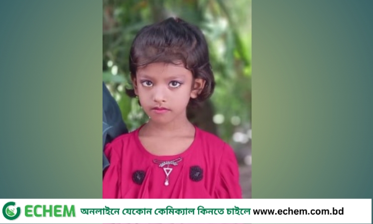 মিরসরাইয়ে সড়ক দুর্ঘটনায় শিক্ষার্থী  নিহত