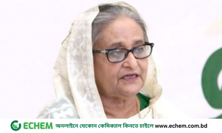 ‘বঙ্গবন্ধুকে সপরিবারে হত্যার পর এ দেশে মানবাধিকার বলে কিছু ছিল না’