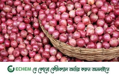 তিনদিনে পেঁয়াজের দাম বেড়েছে কেজিতে ১২০ টাকা