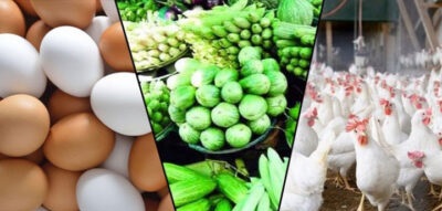 সরবরাহ বাড়ায় নাগালে সবজি, দাম বেড়েছে ডিম-মুরগির