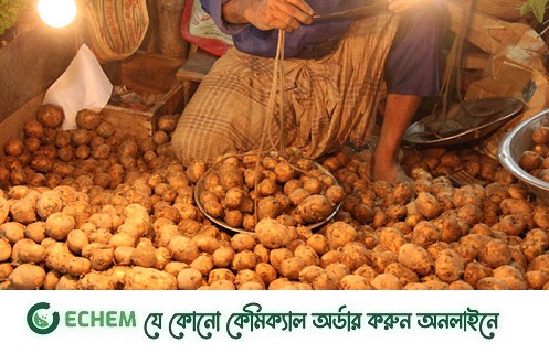 মিরসরাইয়ে সপ্তাহের ব্যবধানে কেজি প্রতি আলুর দাম বেড়েছে ২০ টাকা